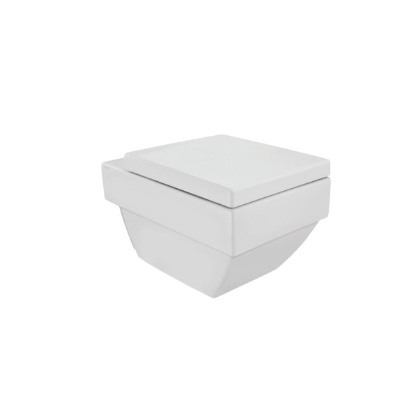 Rimless Wall Hung WC